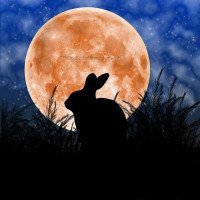 Rabbit Under the Harvest Moon Original Art by Beth L. Alexander