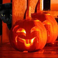 Minuit& the Pumpkins Minuit& the Pumpkins