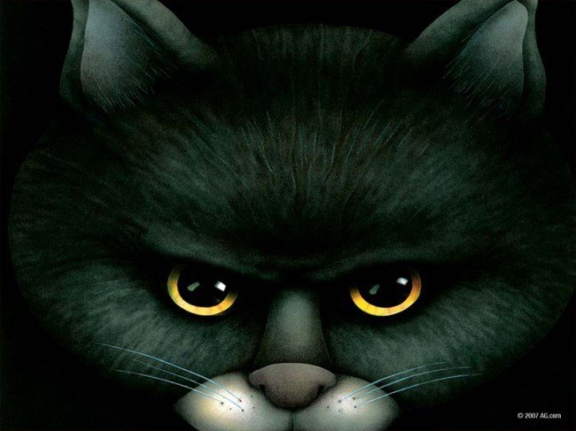 blackkitty