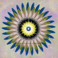 "The Winged Ones" Mandala Art