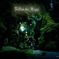Follow the Magic Follow the Magic
