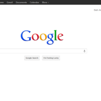 Google Plus Share Button Introduced