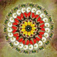 Custom Mandala Custom Mandala