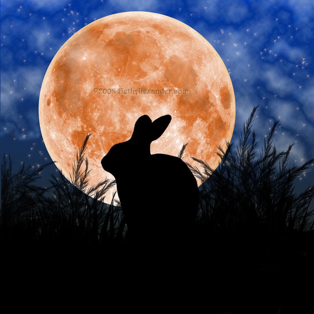 Кролик на Луне
